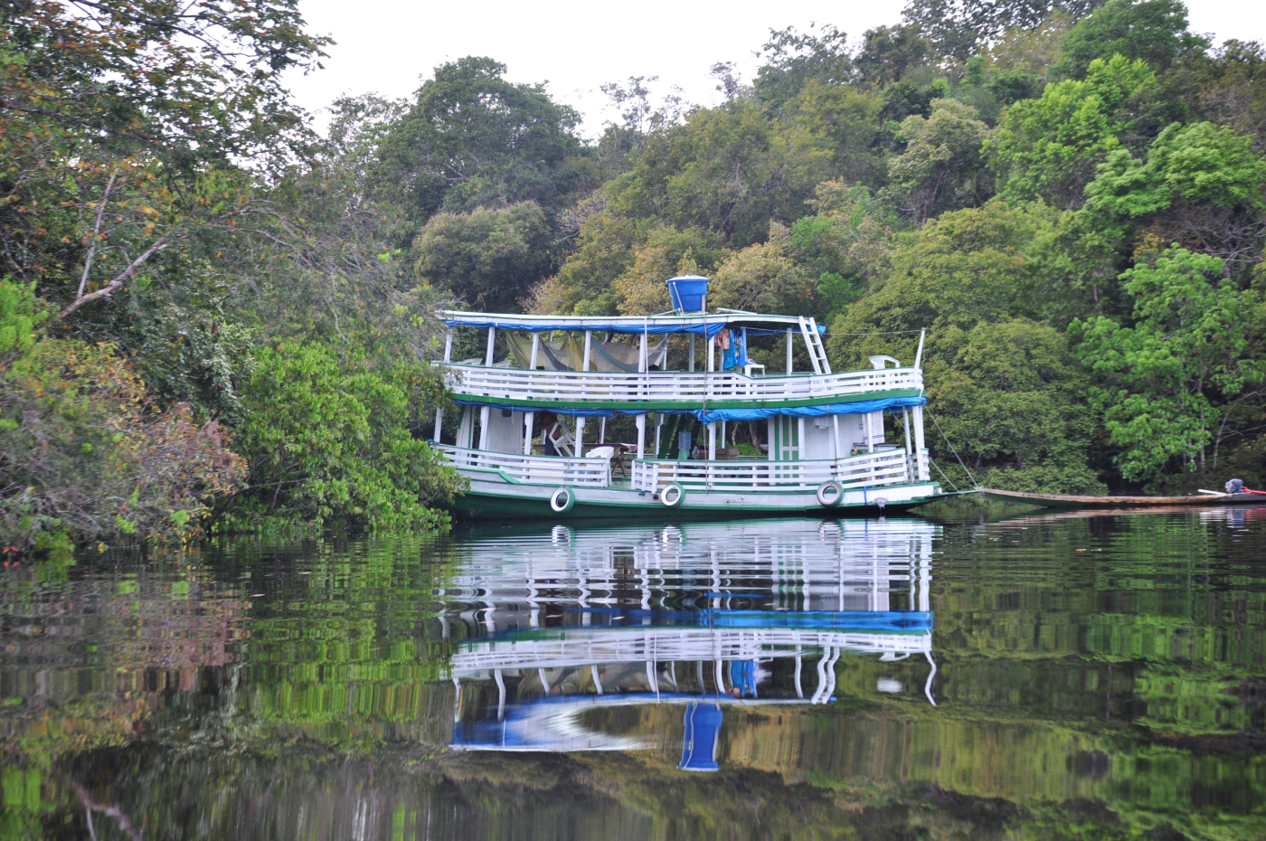 Brazylia - Manaus - Amazonka